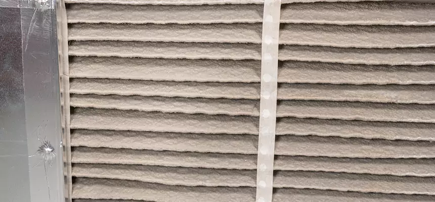 Mobile Car AC Filter Replacement in Holland