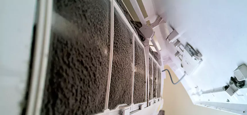 Preventive Air Duct Bacteria Removal in Holland