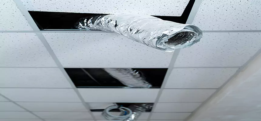 Our Air Duct Pet Hair Removal Services in Holland, MI