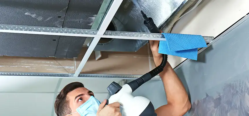 Our Air Duct Rodent Removal Services in Holland, MI