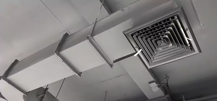 Restorative Allergy Relief Vent Cleaning – Coil, Blower & Housing Detail in Holland