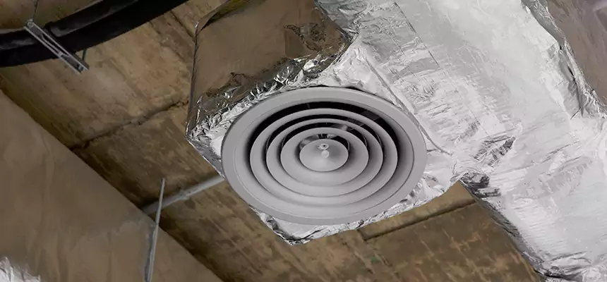 Our Excess Lint Removal from Dryer Ducts Services in Holland, MI
