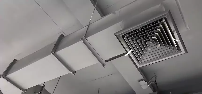 Our Pest Removal From Ducts Services in Holland, MI