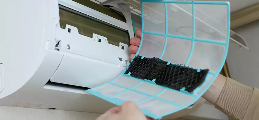 Gentle Ductwork Odor-Control Pet Dander Duct Cleaning in Holland, MI