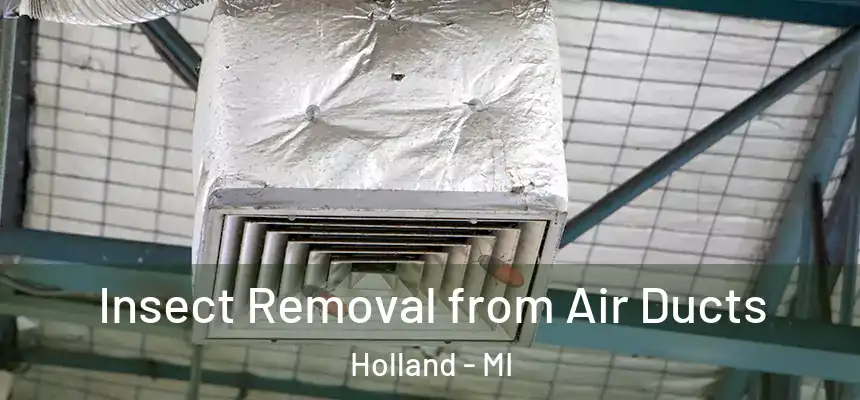  Insect Removal from Air Ducts Holland - MI
