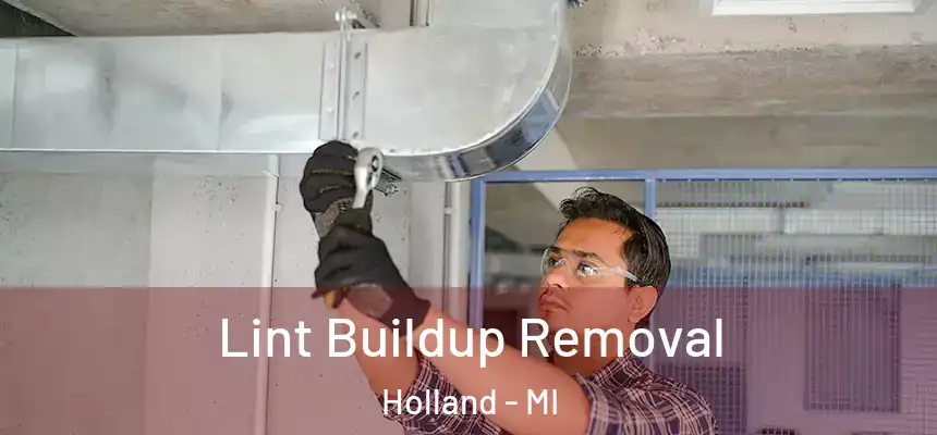  Lint Buildup Removal Holland - MI