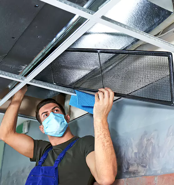 Professional Air Duct Pollen Cleaning in Holland, MI