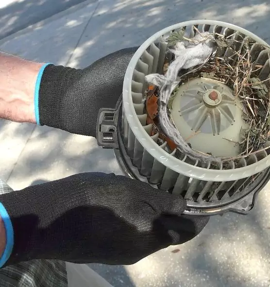 About Air Duct Rat Removal in Holland, MI