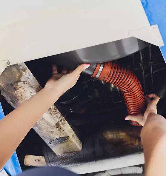 About Air Duct Virus Disinfection in Holland, MI