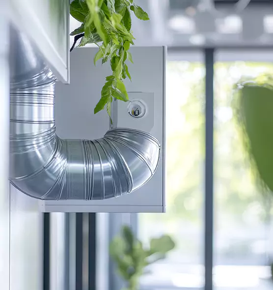 Professional Eco-Friendly Duct Cleaning Services in Holland, MI