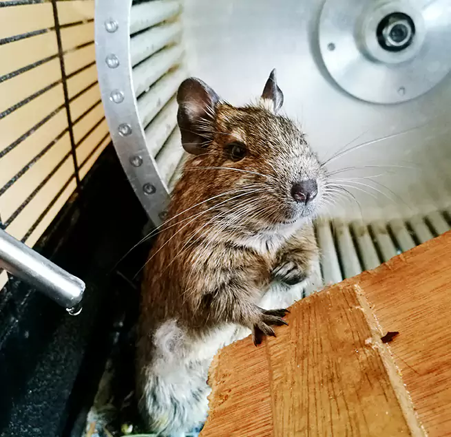 Why Homeowners & Businesses Trust Us Holland, MI