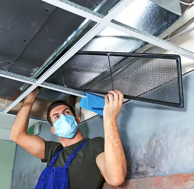 Why Homeowners Businesses Trust Us in Holland, MI