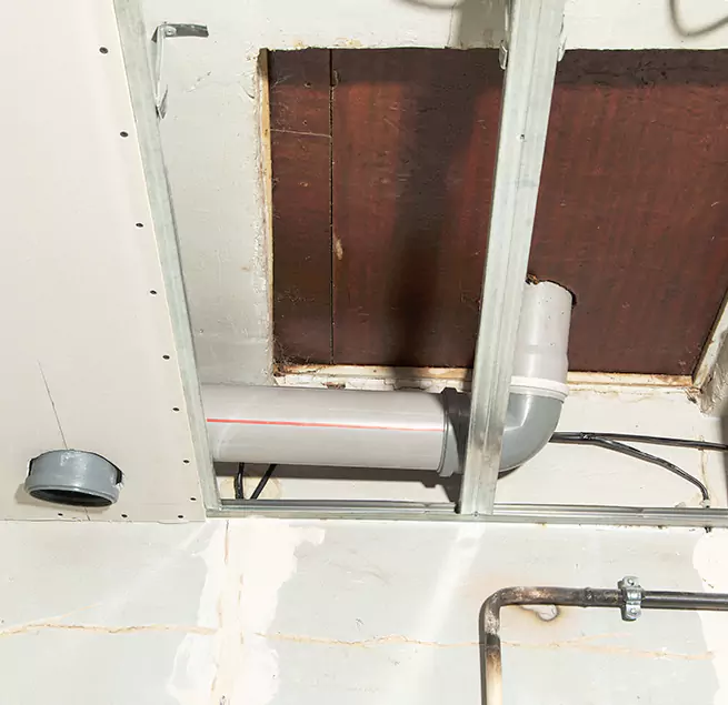 Why Homeowners & Businesses Trust Us in Holland, MI?