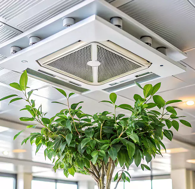 Why Homeowners & Businesses Trust Us in Holland, MI?