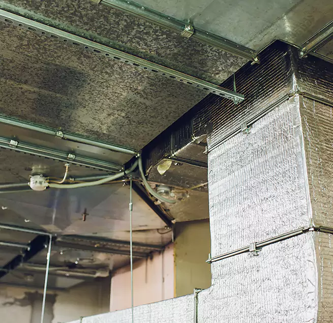 Why Homeowners & Businesses Trust Us in Holland, MI?